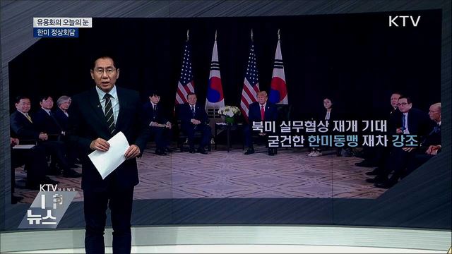 한미 정상회담 [유용화의 오늘의 눈]