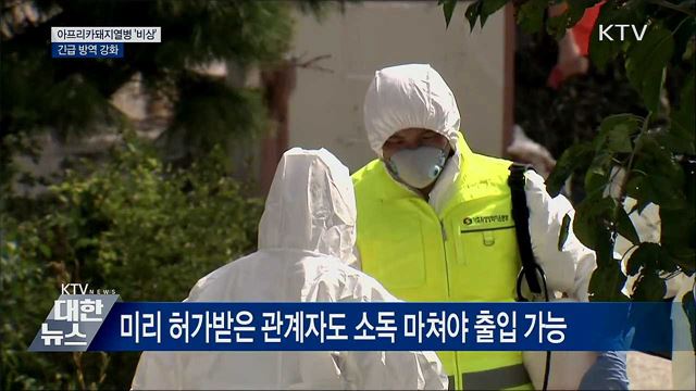 아프리카돼지열병 &#39;비상&#39;···긴급 방역 강화