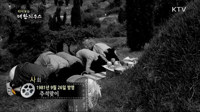 다시보는 대한늬우스 (81. 9. 26) 이미지