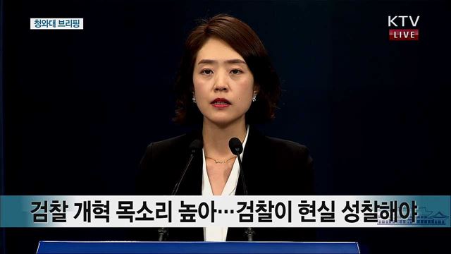 청와대 현안 관련 브리핑