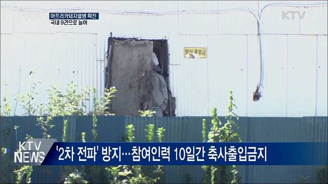 강화서 아프리카돼지열병 확진···&#39;국내 9건&#39;