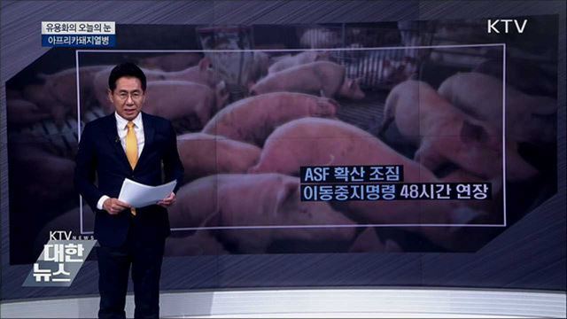 아프리카돼지열병 [유용화의 오늘의 눈]