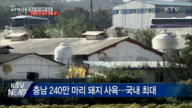 홍성 돼지열병 음성···&#34;긴장의 끈 놓지 않을 것&#34;