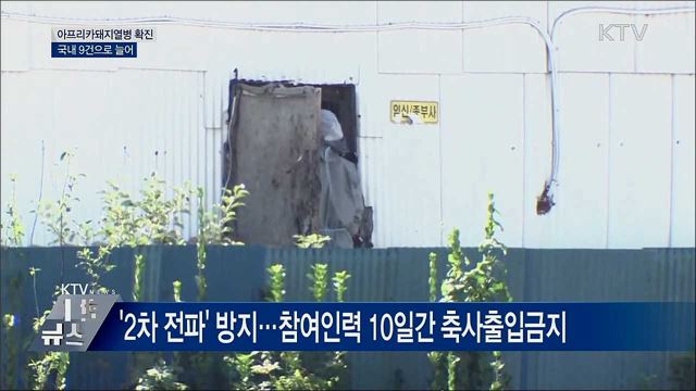 강화서 아프리카돼지열병 확진···&#39;국내 9건&#39;