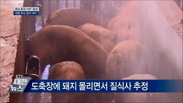 충남 홍성 음성 판정···태풍 철저 대비