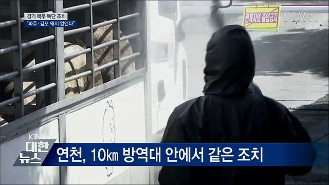 경기 북부 특단 조치···&#34;파주·김포 돼지 없앤다&#34;