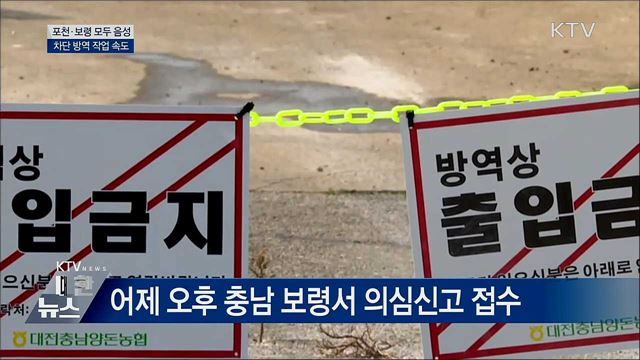포천·보령 모두 음성···방역 작업 속도