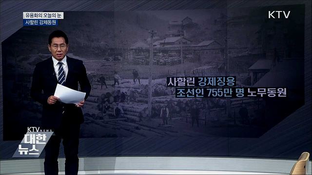 사활린 강제동원 [유용화의 오늘의 눈]