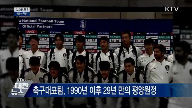 평양 원정 [뉴스링크]