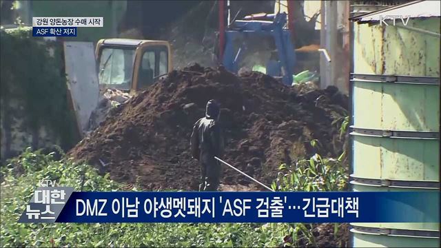 강원 양돈농장 수매 시작···ASF 확산 저지