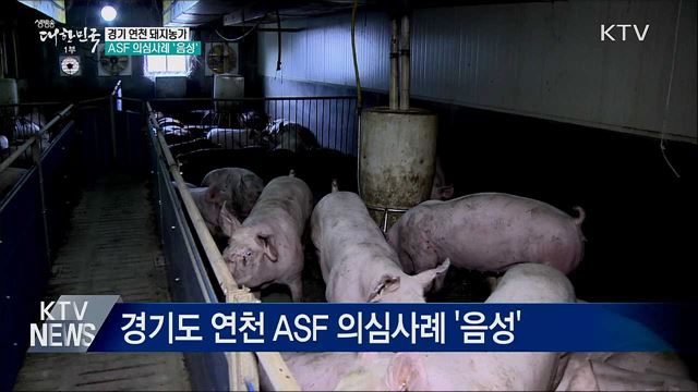 경기 연천 ASF 의심사례 &#39;음성&#39; 판정