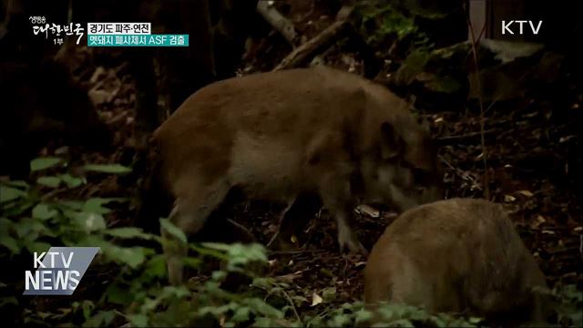 생방송 대한민국 1부 (498회)