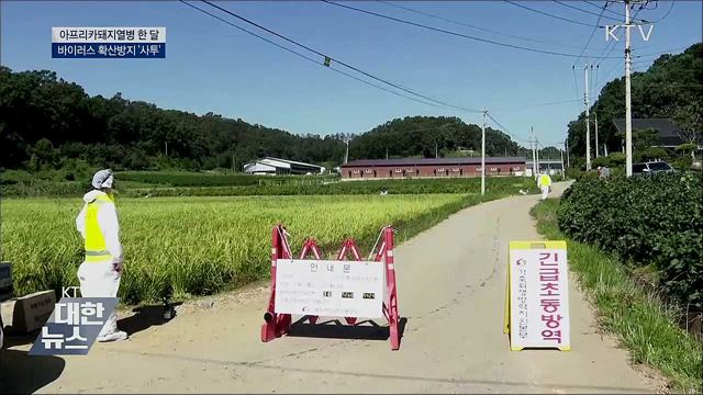 아프리카돼지열병 한 달···확산방지 &#39;사투&#39;