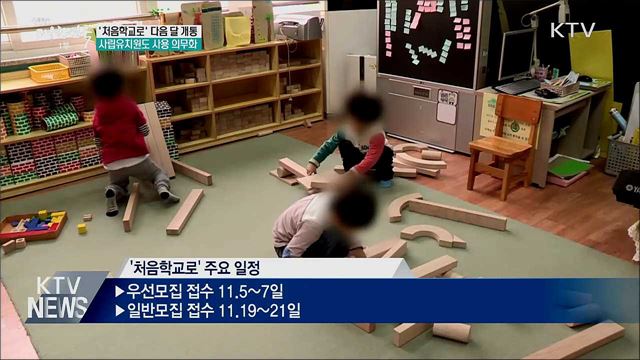 &#39;처음학교로&#39; 다음 달 개통···사립유치원도 의무화