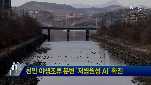 천안 야생조류 분변 &#39;저병원성 AI&#39; 확진