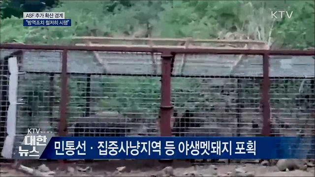 ASF 추가 확산 경계···&#34;방역조치 철저히 시행&#34;