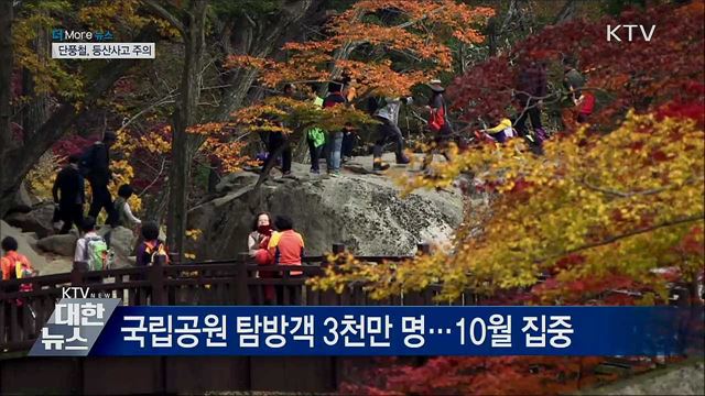 이른 추위에 빨라진 단풍철···등산사고 &#39;주의&#39;