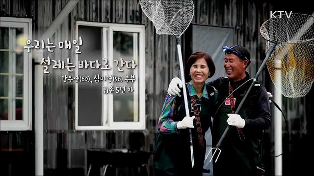 우리는 매일 설레는 바다로 간다