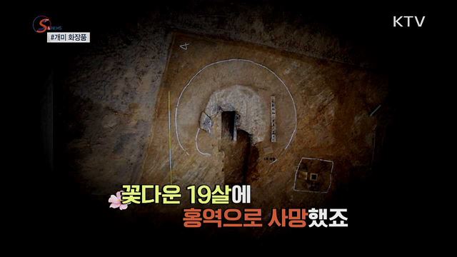 조선왕실 화장품에서 '개미' 수천만 마리가? [S&News]
