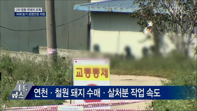 2차 멧돼지 포획···피해 농가 경영안정 지원