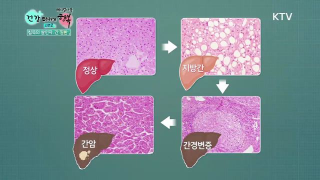 9회 하이라이트 - 침묵의 살인자 간 질환 