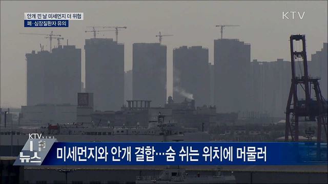&#34;안개 낀 날 미세먼지 더 위험···폐·심장질환 유의&#34;