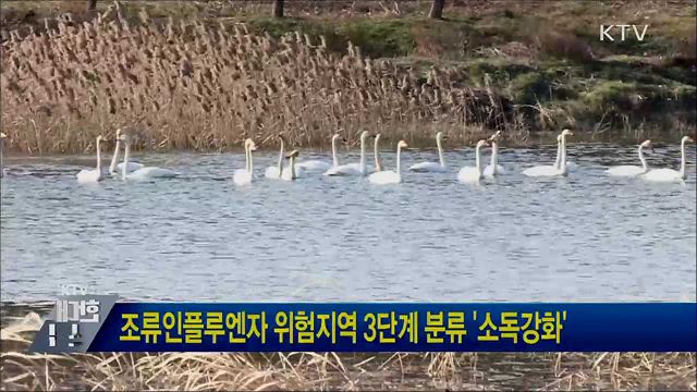 조류인플루엔자 위험지역 3단계 분류 &#39;소독강화&#39;