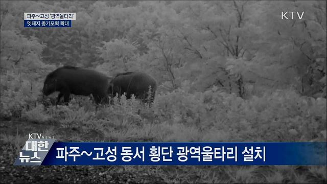 파주∼고성 광역울타리···멧돼지 총기포획 확대