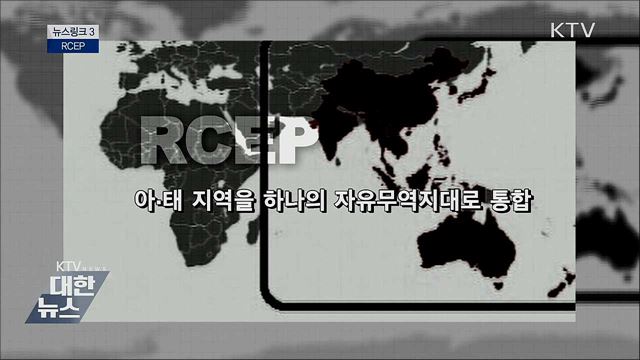RCEP [뉴스링크]
