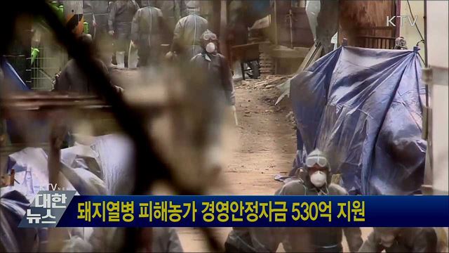 돼지열병 피해농가 경영안정자금 530억 지원
