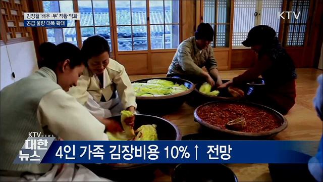 김장철, 배추·무 공급 대폭 확대