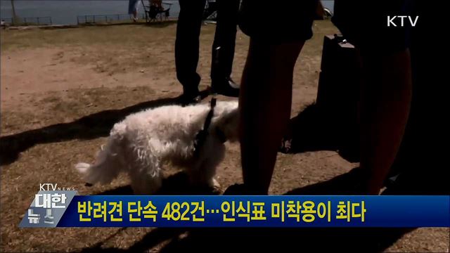 반려견 단속 482건···인식표 미착용이 최다
