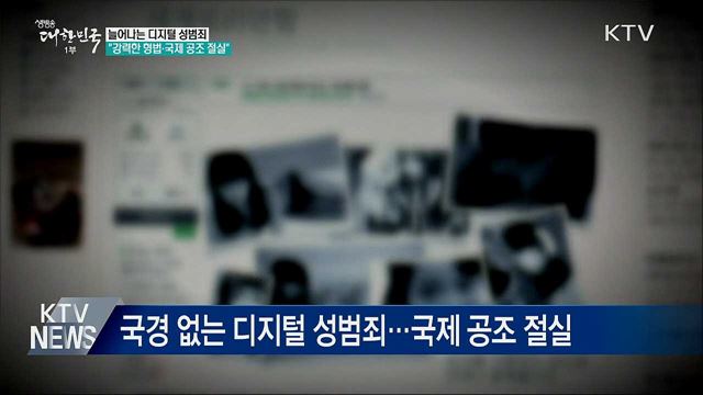 &#34;디지털 성범죄 대응에 국제 공조 절실&#34;