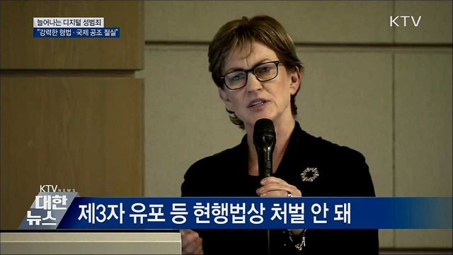 &#34;디지털 성범죄 대응에 국제 공조 절실&#34;