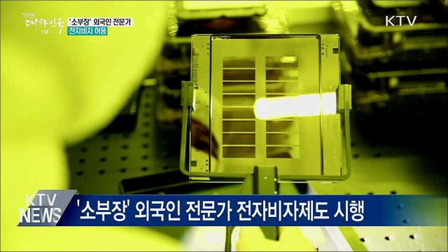 &#39;소부장&#39; 외국인 전문가 전자비자 허용