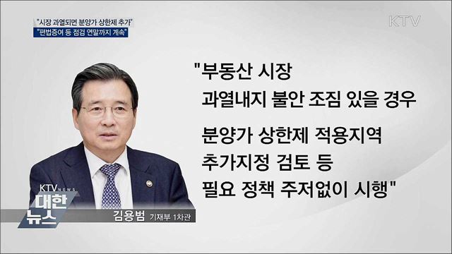 &#34;시장 불안하면 분양가 상한제 추가 검토&#34;