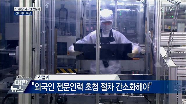 &#39;소부장&#39; 외국인 전문가 전자비자 허용