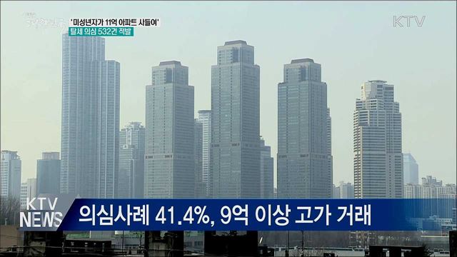 &#39;미성년자가 11억 아파트 사들여&#39;···탈세 의심 532건 적발