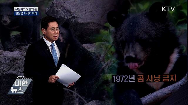 반달곰 서식지 [유용화의 오늘의 눈]