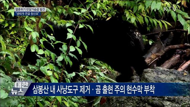 덕유산 일대서 반달가슴곰 서식···&#34;생태계 연결 청신호&#34;