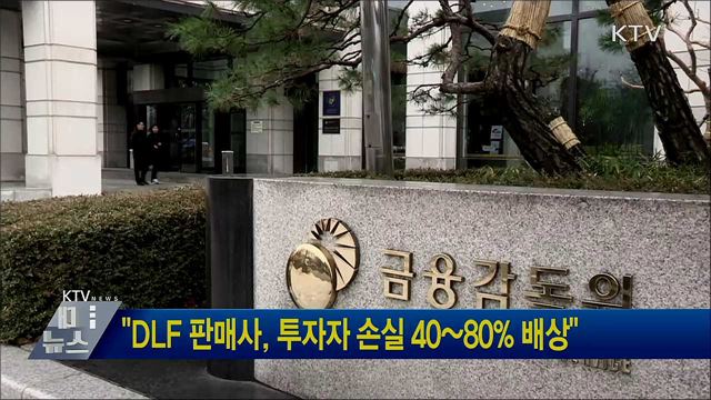 &#34;DLF 판매사, 투자자 손실 40~80&#37; 배상&#34;