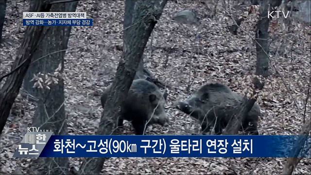 아프리카돼지열병 등 가축전염병 방역 강화