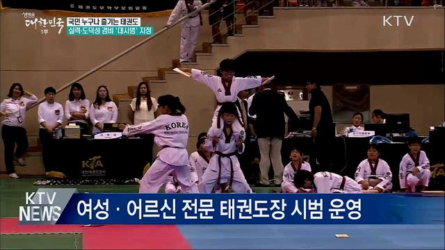 도덕성 겸비 &#39;대사범&#39; 지정···태권도 활성화 추진