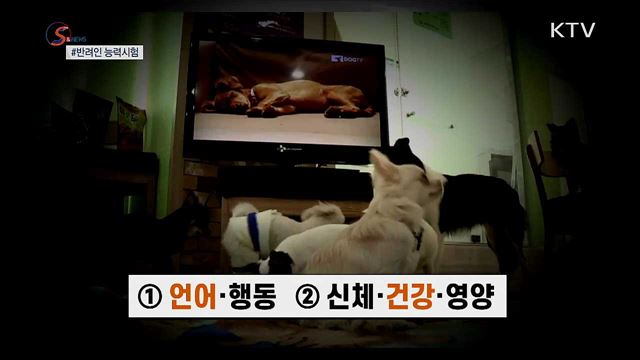 88년으로 시간여행···당시 짜장면값은? [S&News]