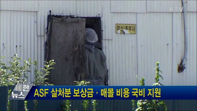 ASF 살처분 보상금·매몰 비용 국비 지원