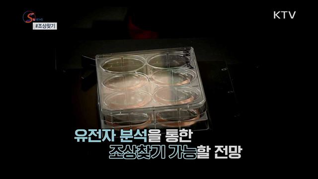 세월을 거슬러···내 조상은 누구? [S&News]