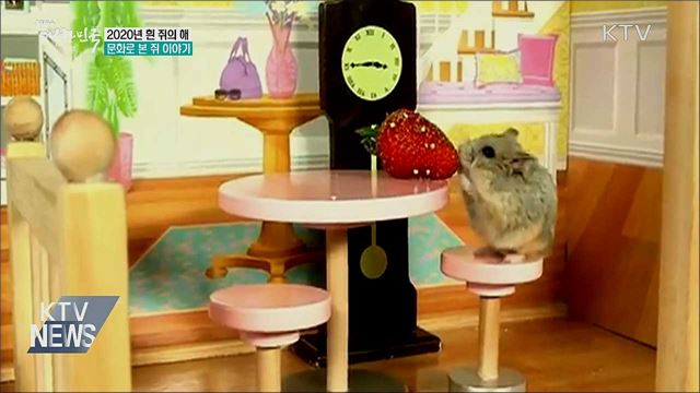 2020년 흰 쥐의 해···문화로 본 쥐 이야기