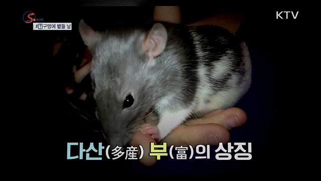 O구멍에 볕들 날 있다 [S&News]