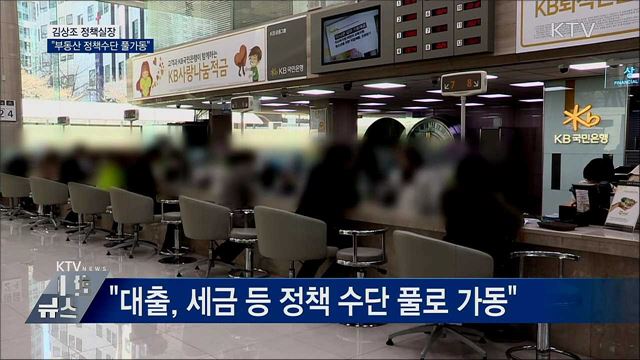 김상조 실장 "부동산, 정책수단 풀가동"