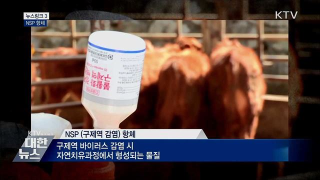 NSP 항체 [뉴스링크]